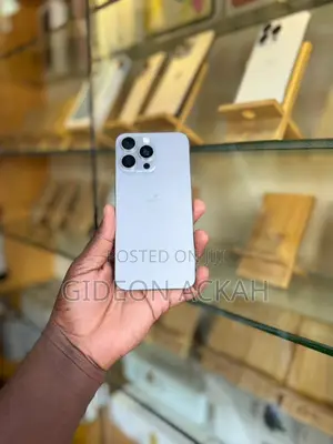 Apple iPhone 15 Pro Max 256 GB Gray