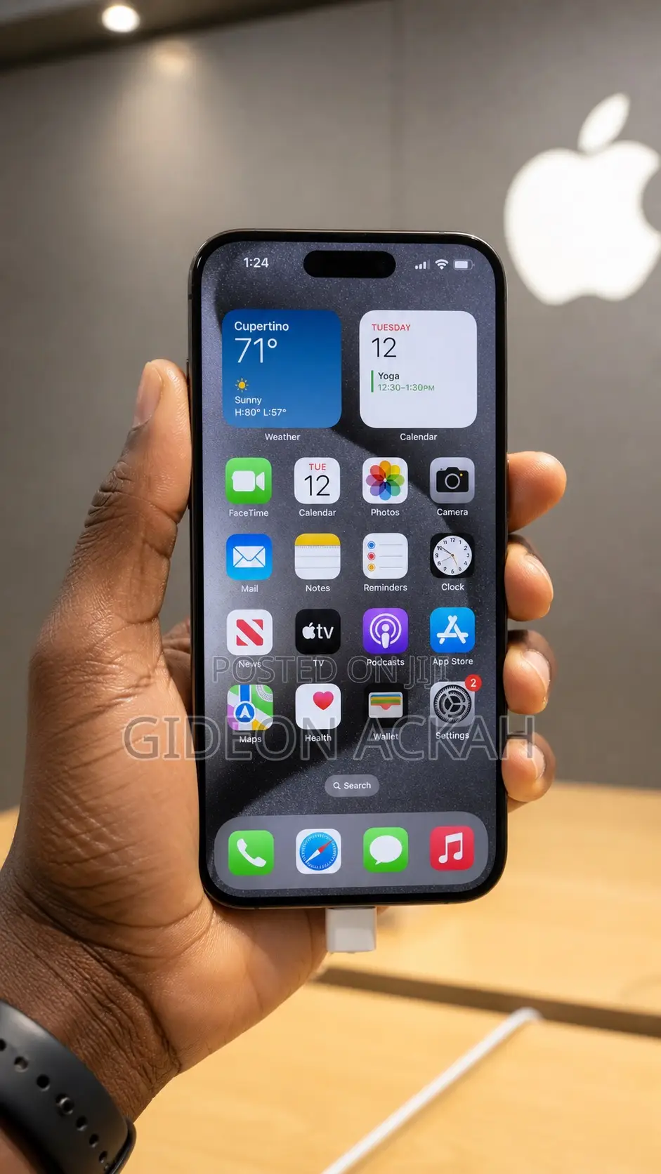 Apple iPhone 15 Pro Max 256 GB Gray