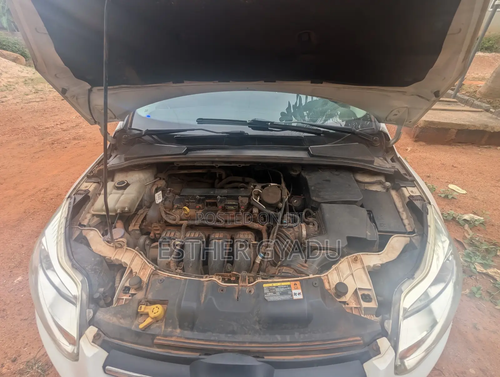 Ford Focus 2014 White