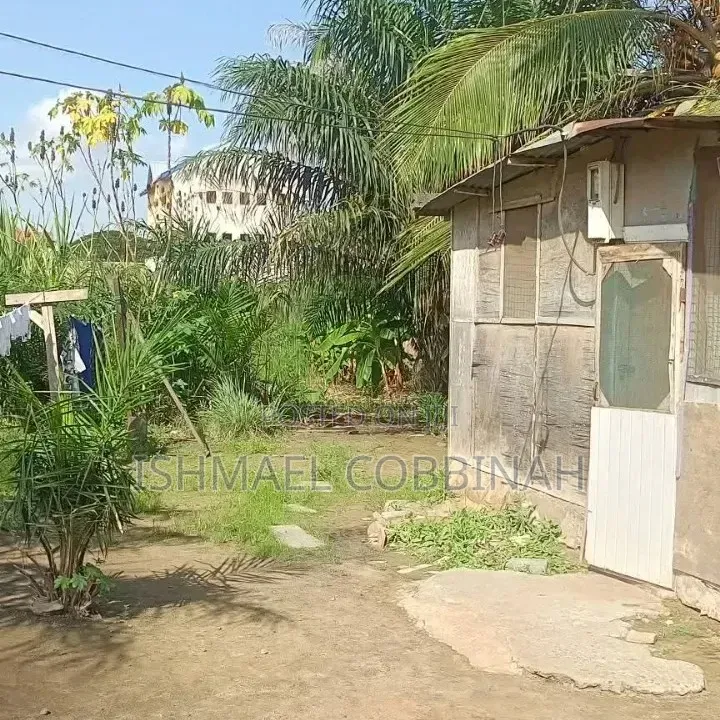 Tema West Adjei Kojo