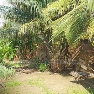Tema West Adjei Kojo