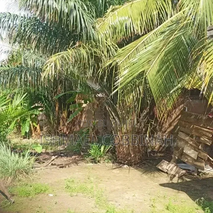 Tema West Adjei Kojo