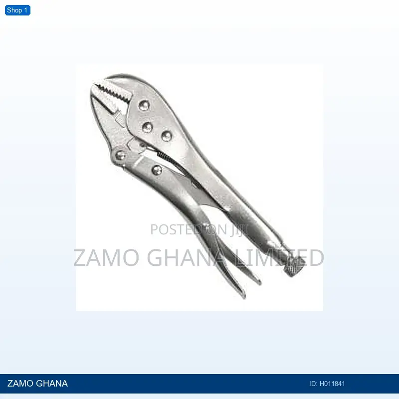 Locking Plier R2 Type 10 Inch - H011841