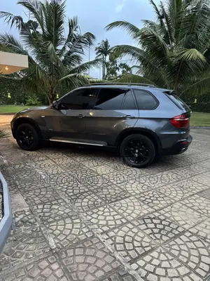BMW X5 3.0si 2009 Gray