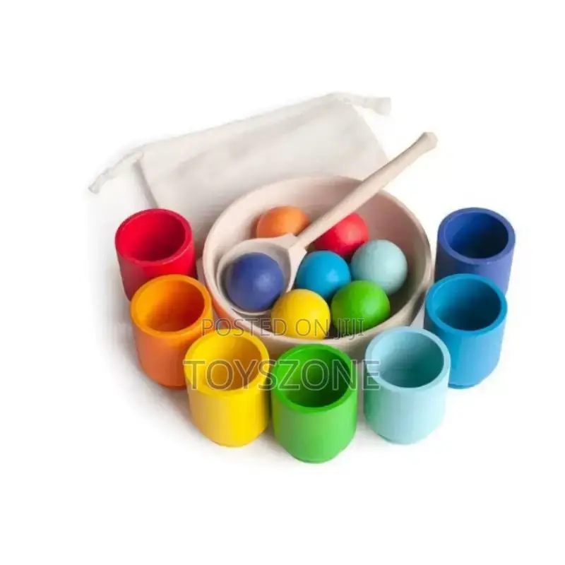 Colour Sorting Montessori Set