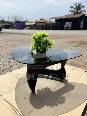 Modern Center /Coffee Table