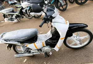 Luojia 110cc 2024 Black