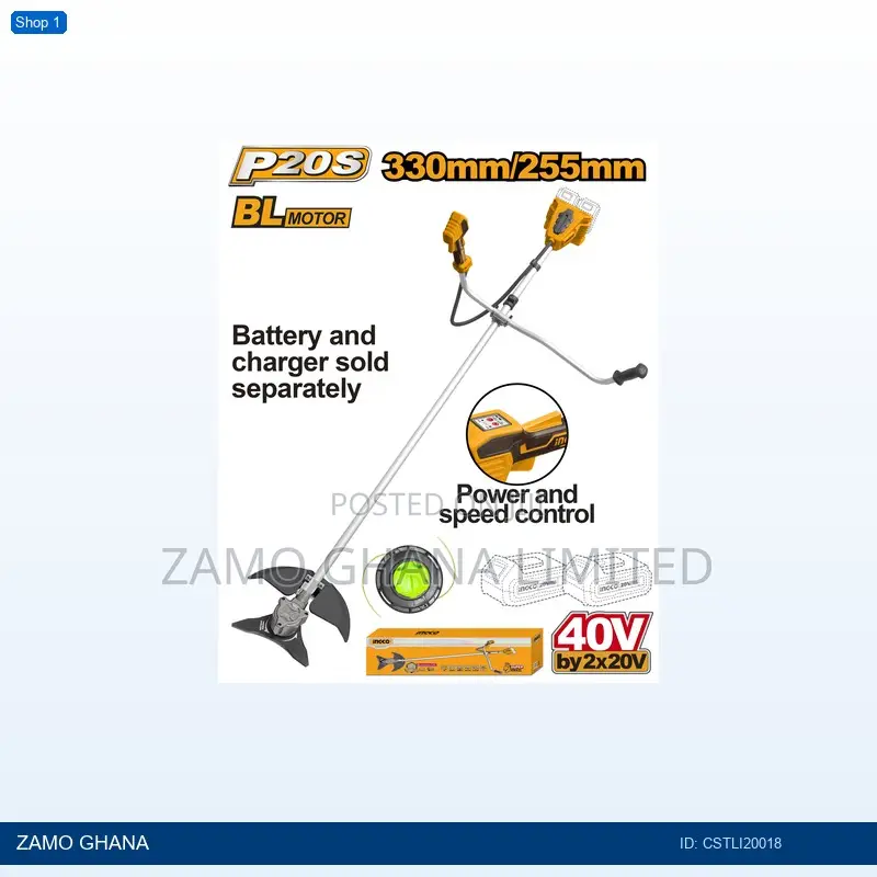 Cordless String Trimmer and Brush - Cstli20018