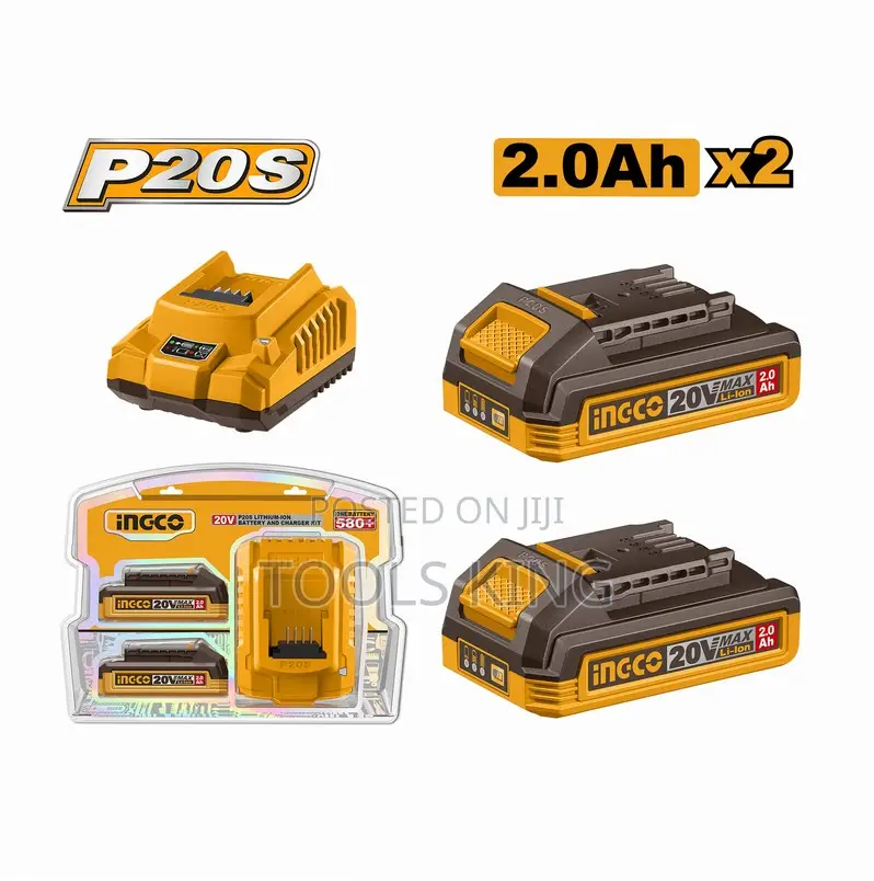 P20s Lithiumion Battery and Charger - Fbcpk2212
