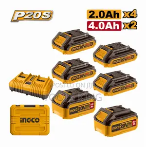 P20s Lithiumion Battery and Charger - Cosli230701