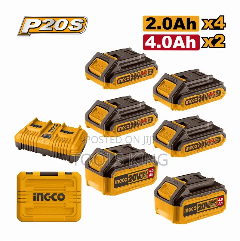 P20s Lithiumion Battery and Charger - Cosli230701