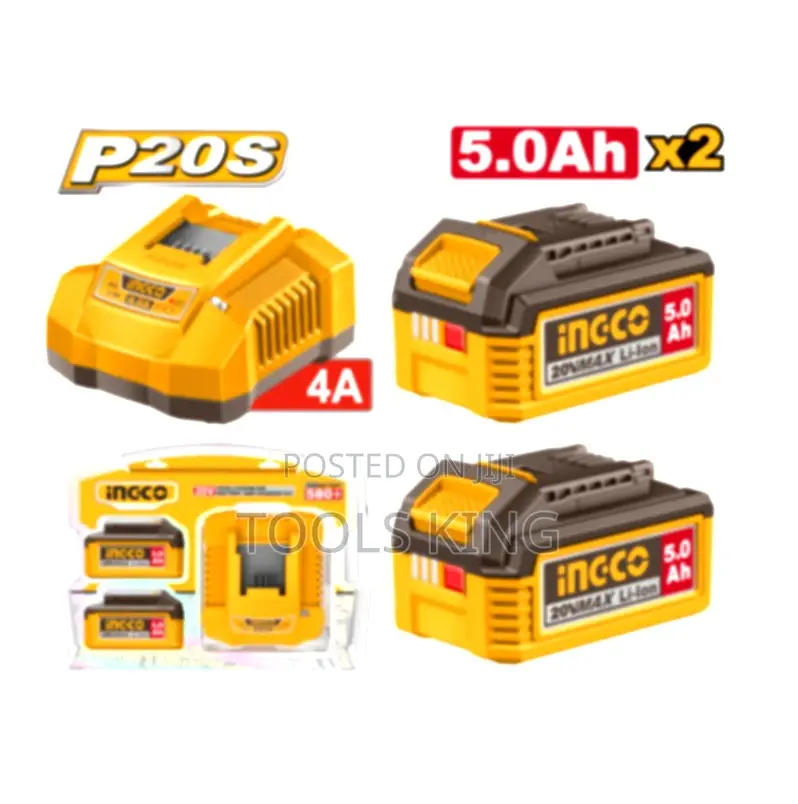 P20s Lithiumion Battery and Charger - Fbcpk2513