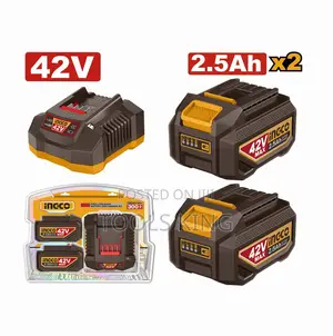 Lithiumion Battery and Charger - Fbcpm25221