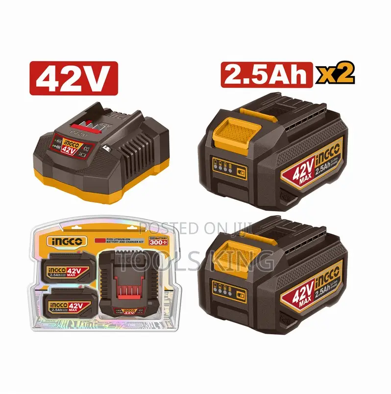 Lithiumion Battery and Charger - Fbcpm25221