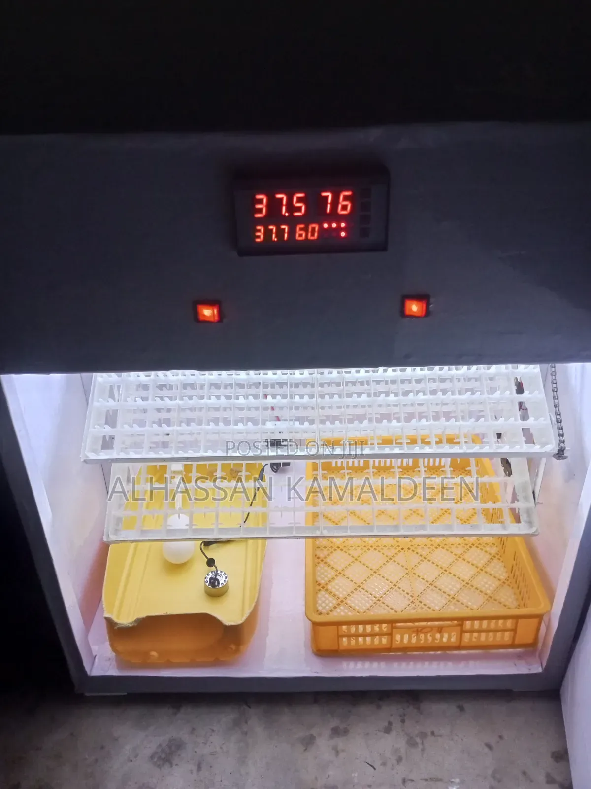 Eggs Incubators
