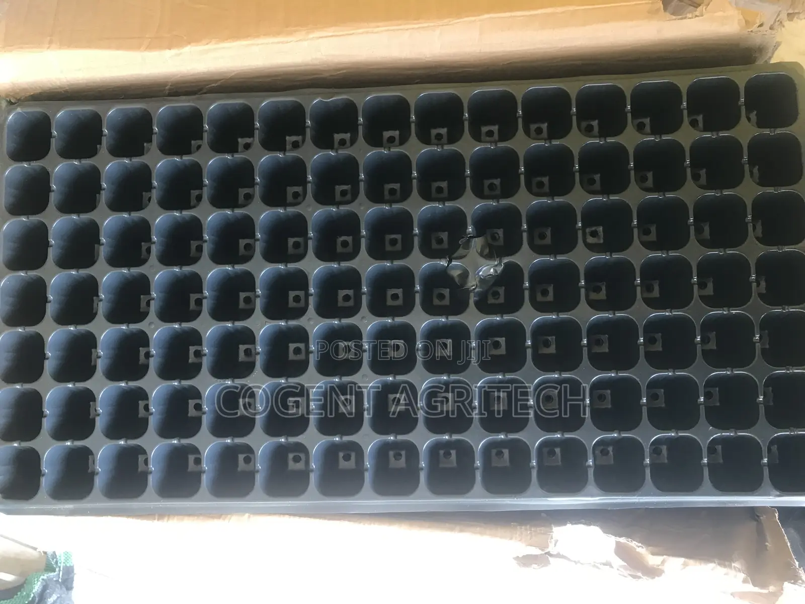 Seedlings Tray (105 Cells)