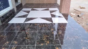 Plumbing Engineering/Tilling Service