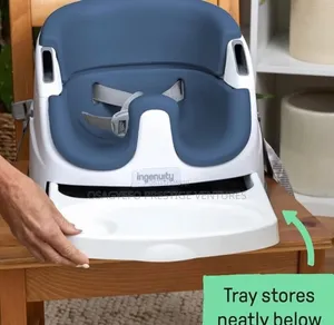 Ingenuity Night Sky Baby Base 2-in-1