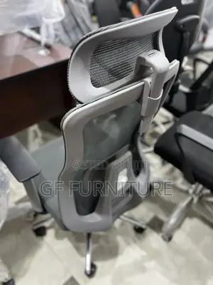 Ergonomic Chair With Lumbar Support and Headrest