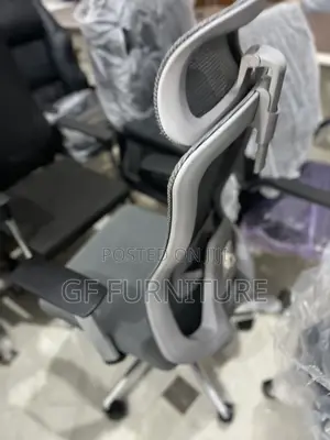 Ergonomic Chair With Lumbar Support and Headrest