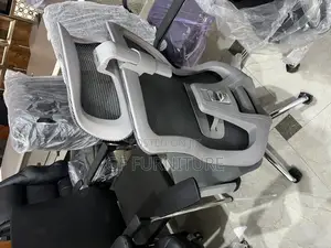 Ergonomic Chair With Lumbar Support and Headrest
