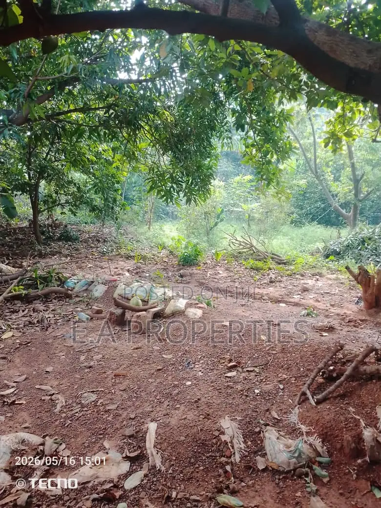 Land for Sale