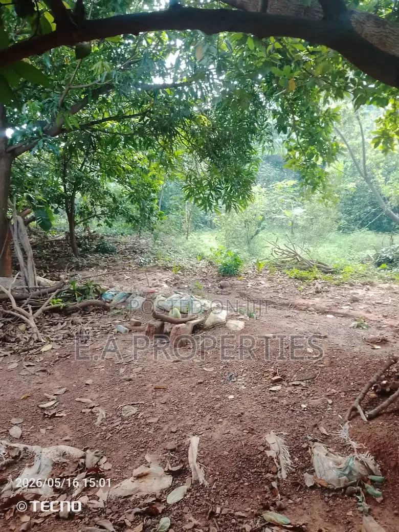 Land for Sale