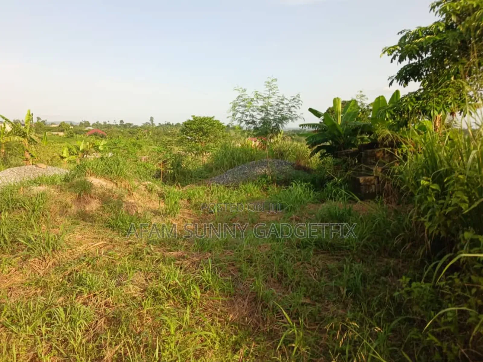 Land and Property