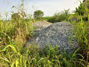 Land and Property