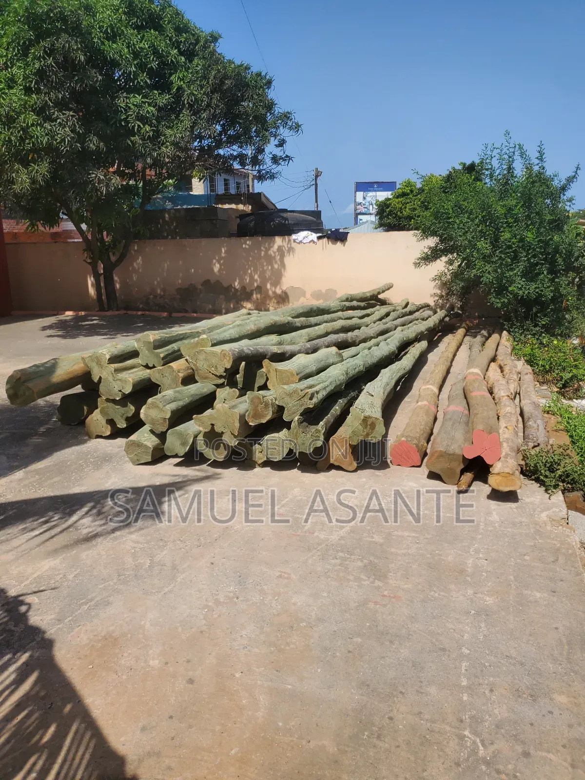 Treated Electricity Standard Poles
