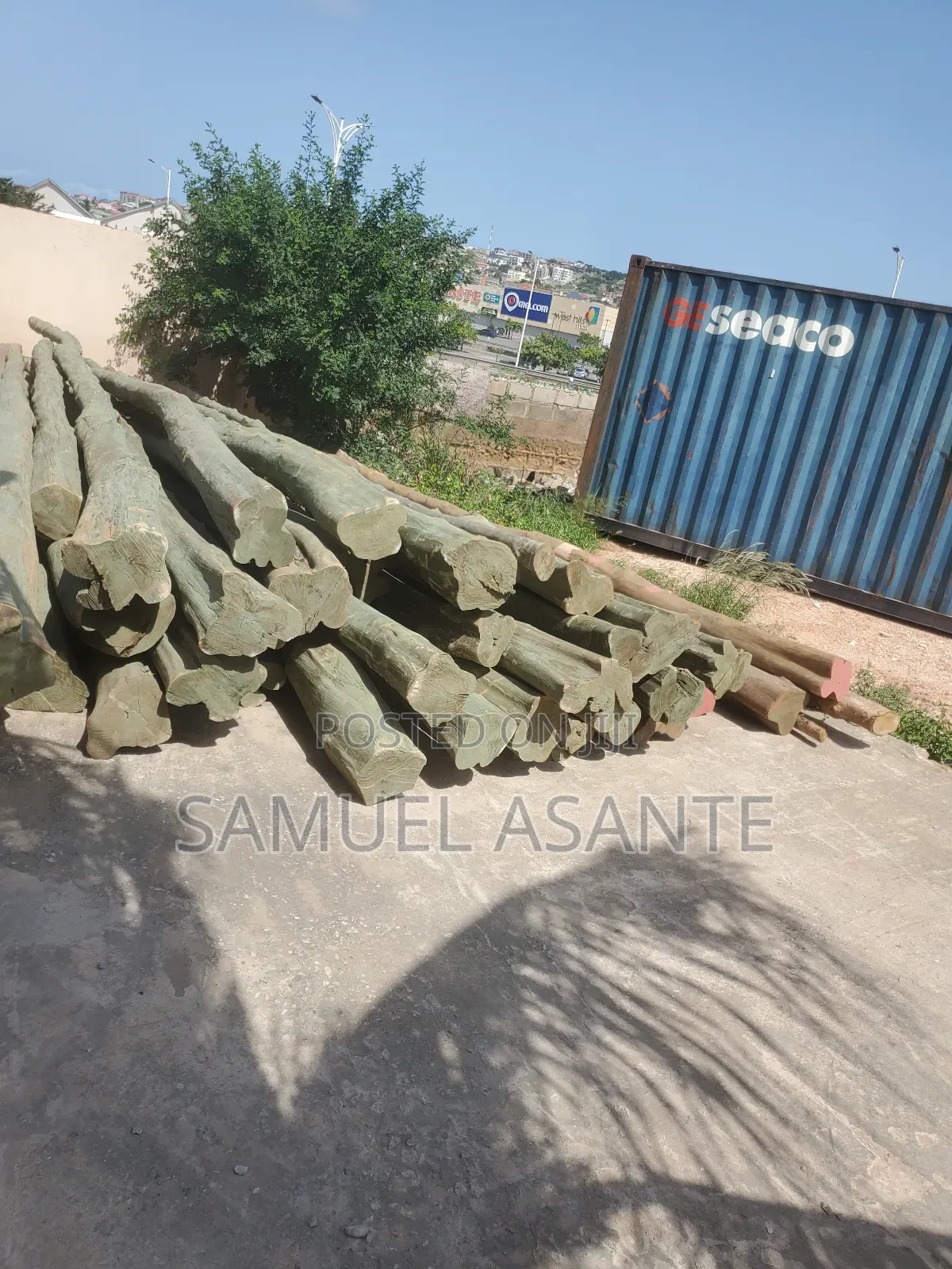 Treated Electricity Standard Poles