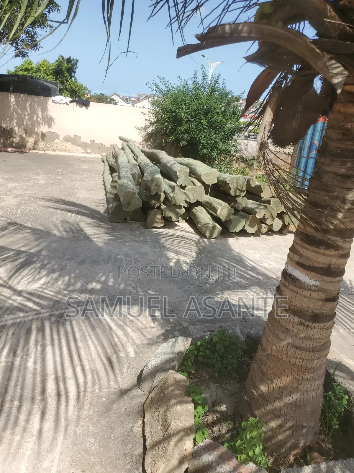 Treated Electricity Standard Poles