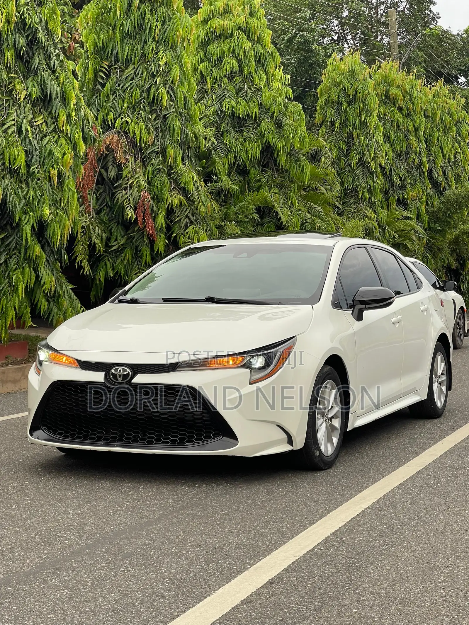 Toyota Corolla LE 2020 White
