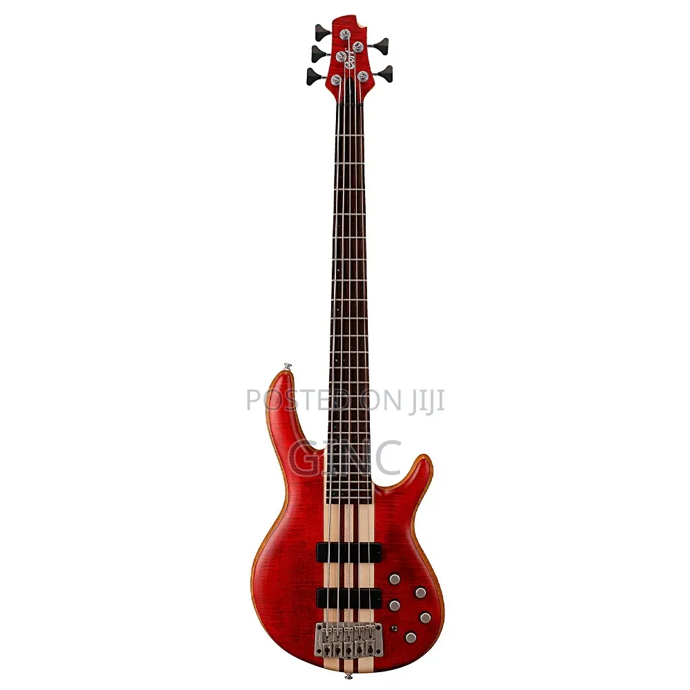 5 String Bass Guitar (Cort Artisan A5 Plus )- Active and Passive