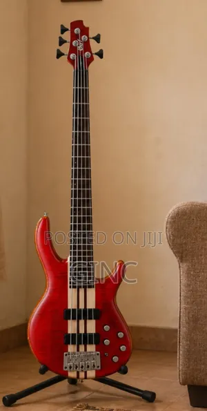 5 String Bass Guitar (Cort Artisan A5 Plus )- Active and Passive