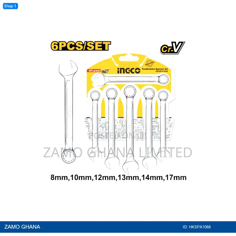 6pcs Combination Spanner - Hkspa1068