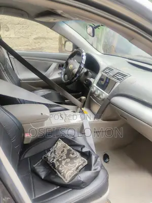 Toyota Camry 2010 Gray