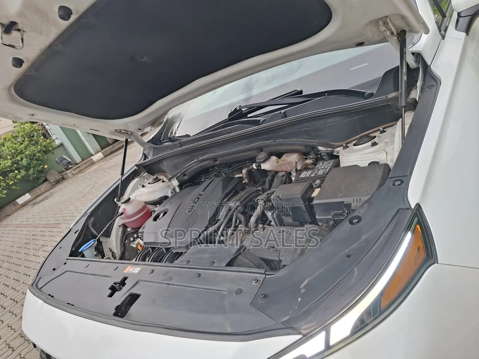 Hyundai Santa Fe SE 2023 White