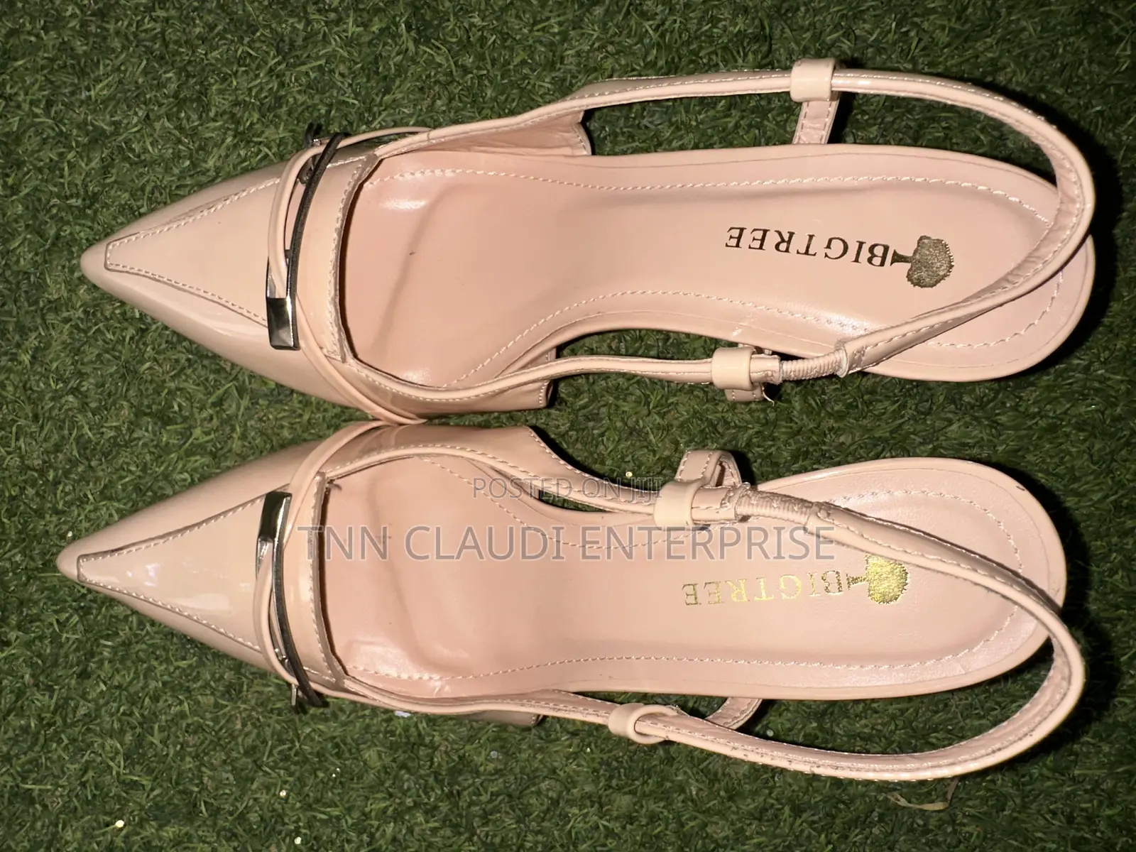 TNN Claudi Enterprise