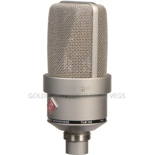 Neumann TLM 103 Large-Diaphragm Cardioid Condenser Mic (Mono Set,)