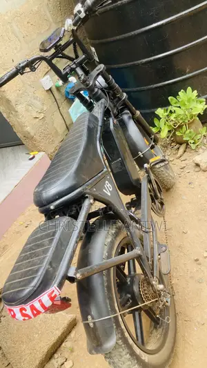 Electric Bike With Double Battery