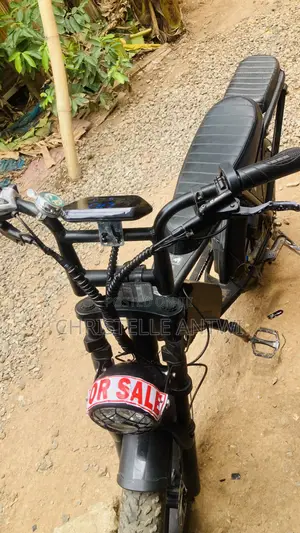 Electric Bike With Double Battery