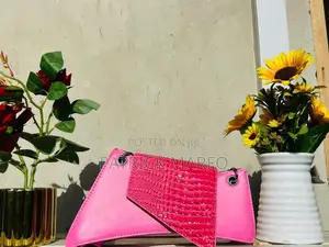 Ladies Luxry Hand Bag