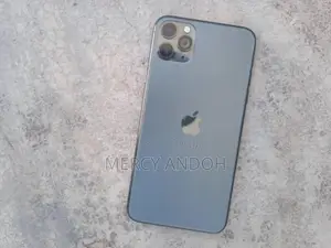 Apple iPhone 11 Pro Max 256 GB Gray
