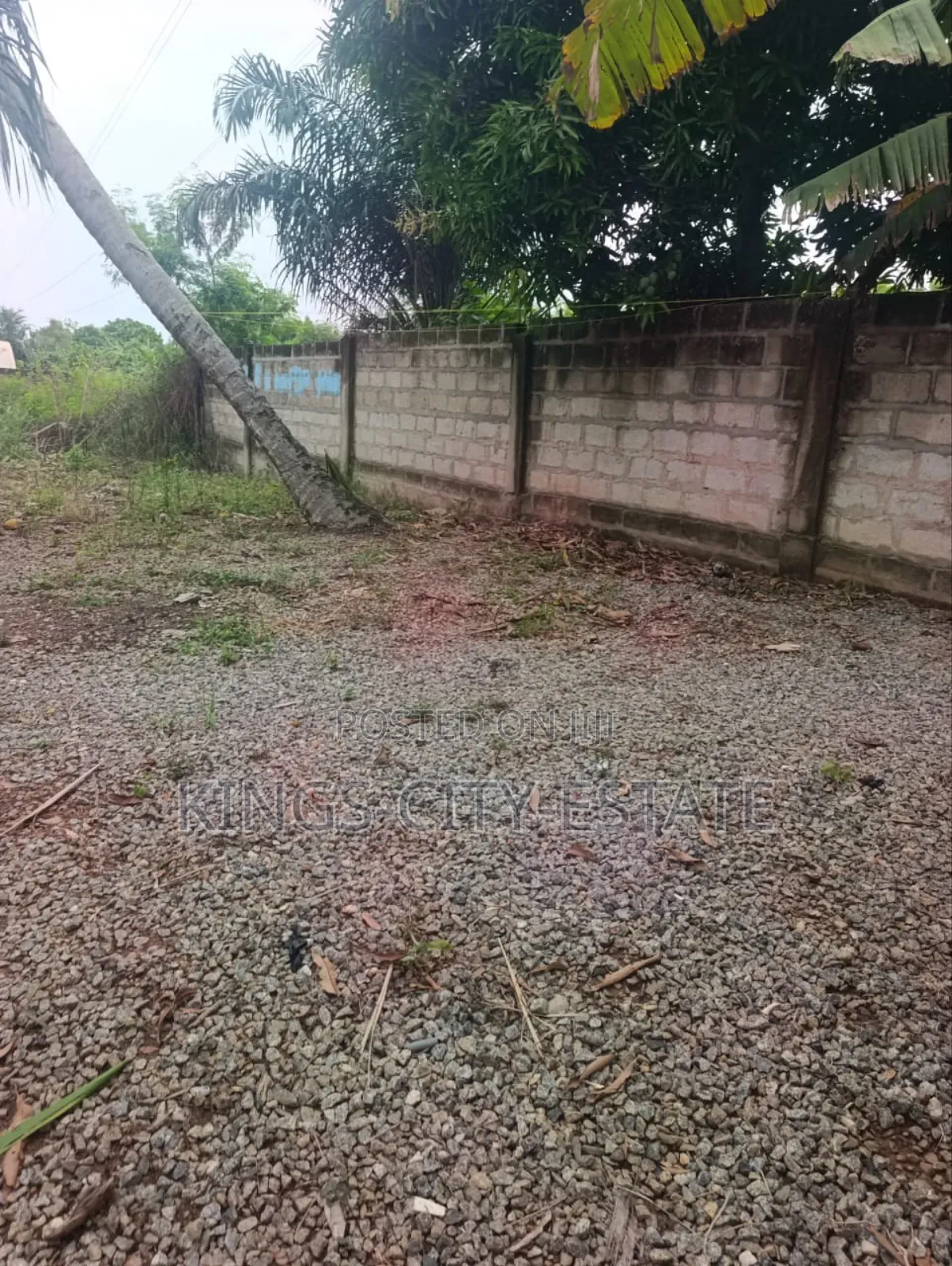 Half Plot for Sale at Pokuase Rocky Down