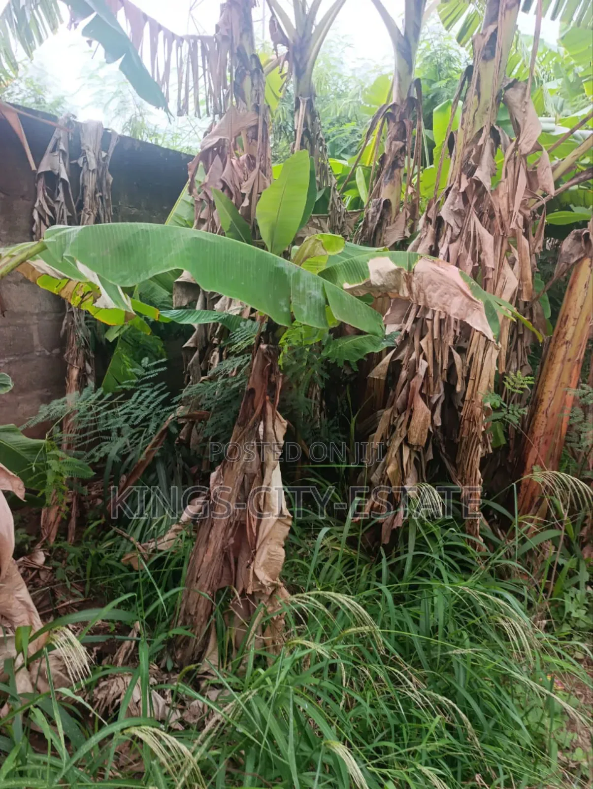 Half Plot for Sale at Pokuase Rocky Down