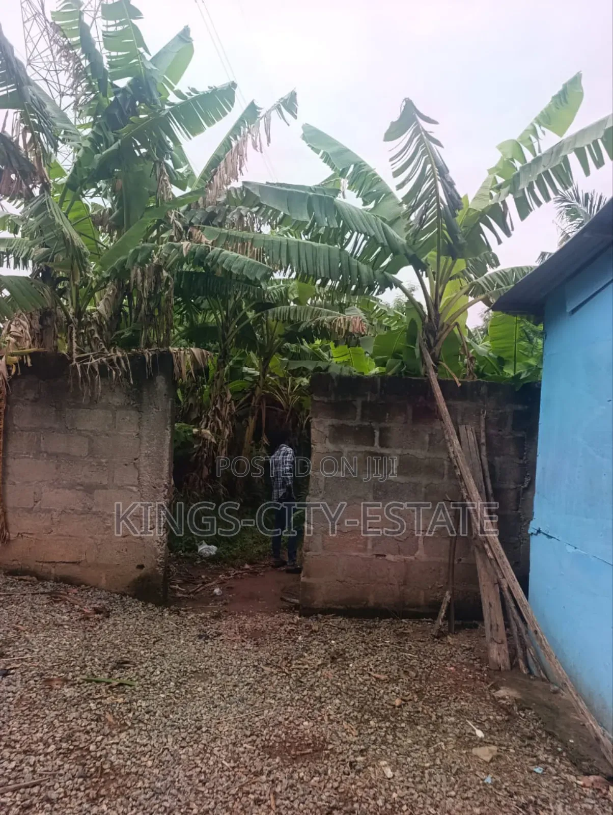 Half Plot for Sale at Pokuase Rocky Down