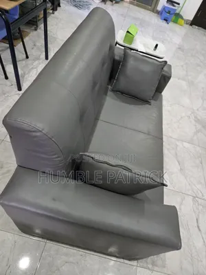 Gray Color Sofa