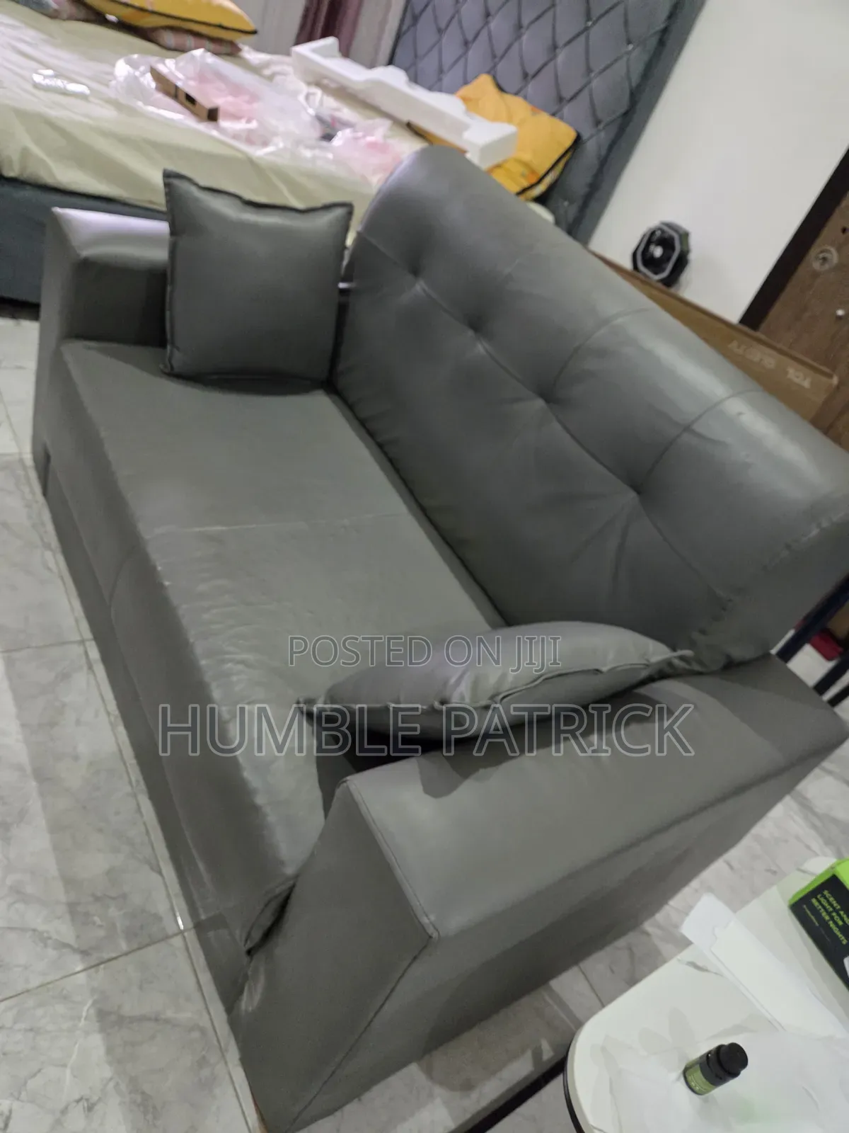 Gray Color Sofa