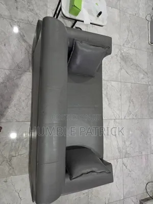 Gray Color Sofa